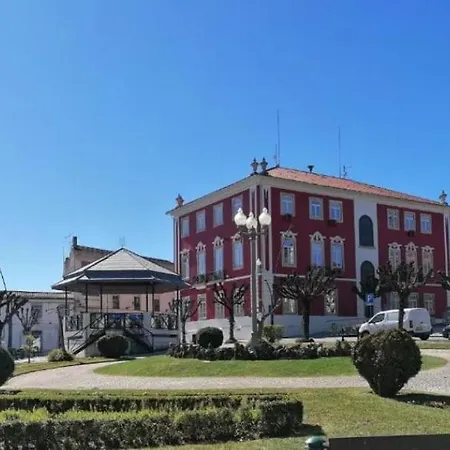 Areal Holiday home Figueiro Dos Vinhos