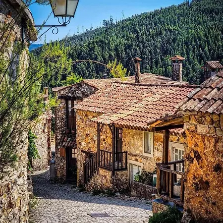 Holiday home Areal Figueiro Dos Vinhos